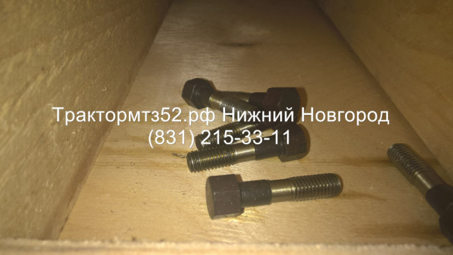 Болт специальный Болт специальный